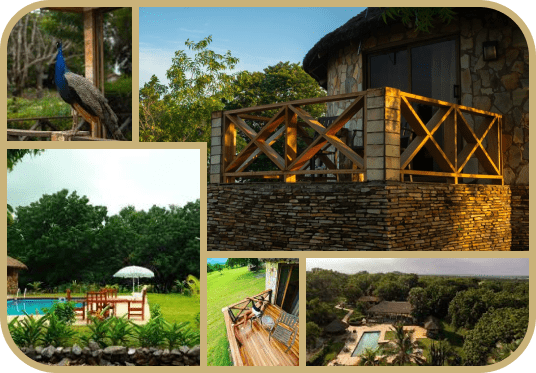 Stone Lodge Collage